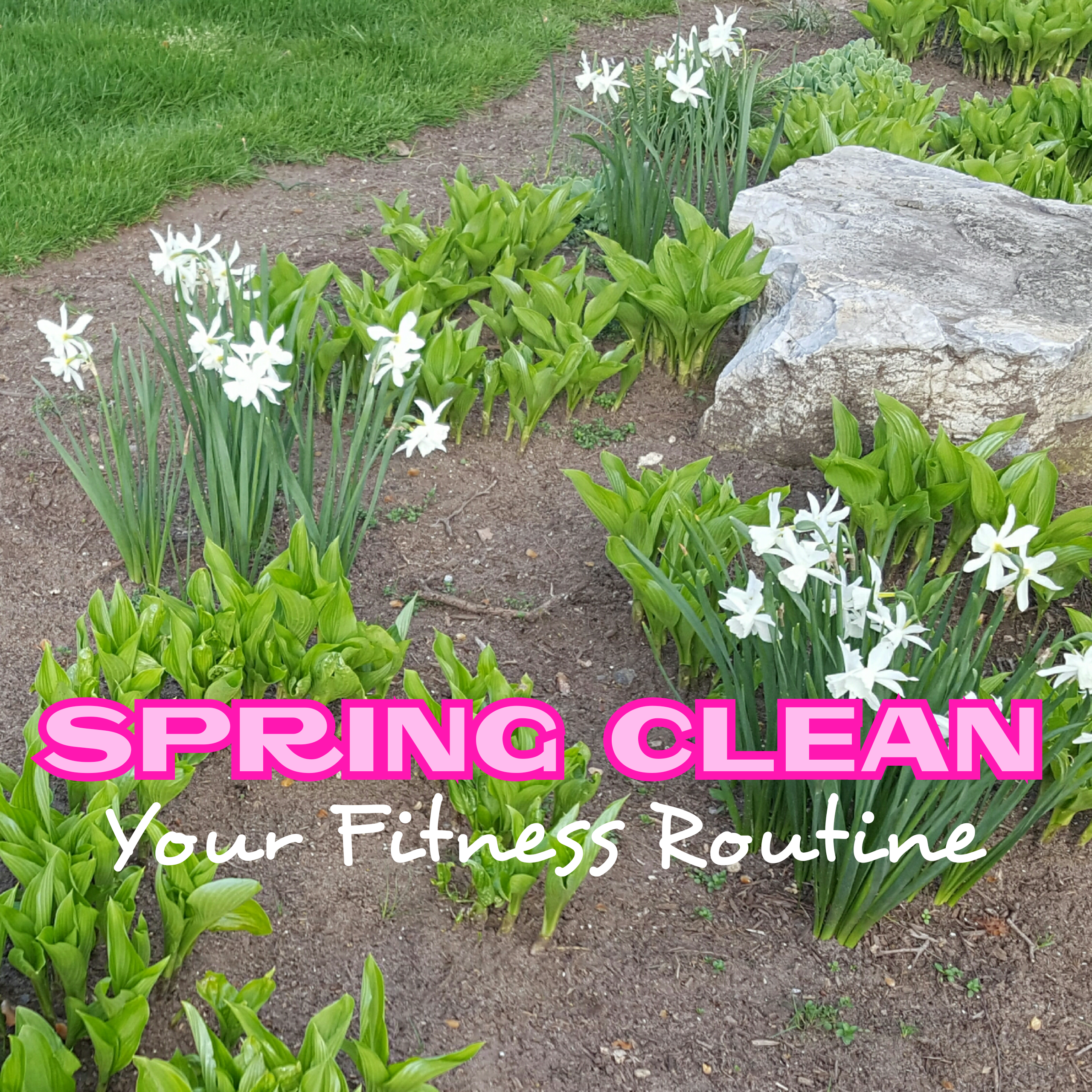 SPRING CLEAN YOUR FITNESS ROUTINE - followPhyllis